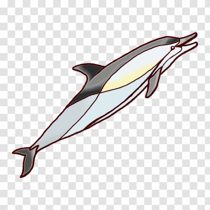 Dolphin Fish Line Biology Science Transparent PNG