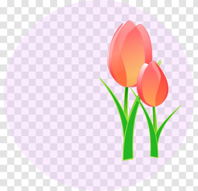 Clip Art Tulip Mania Openclipart Image - Flower - Amazon Flowers Transparent PNG