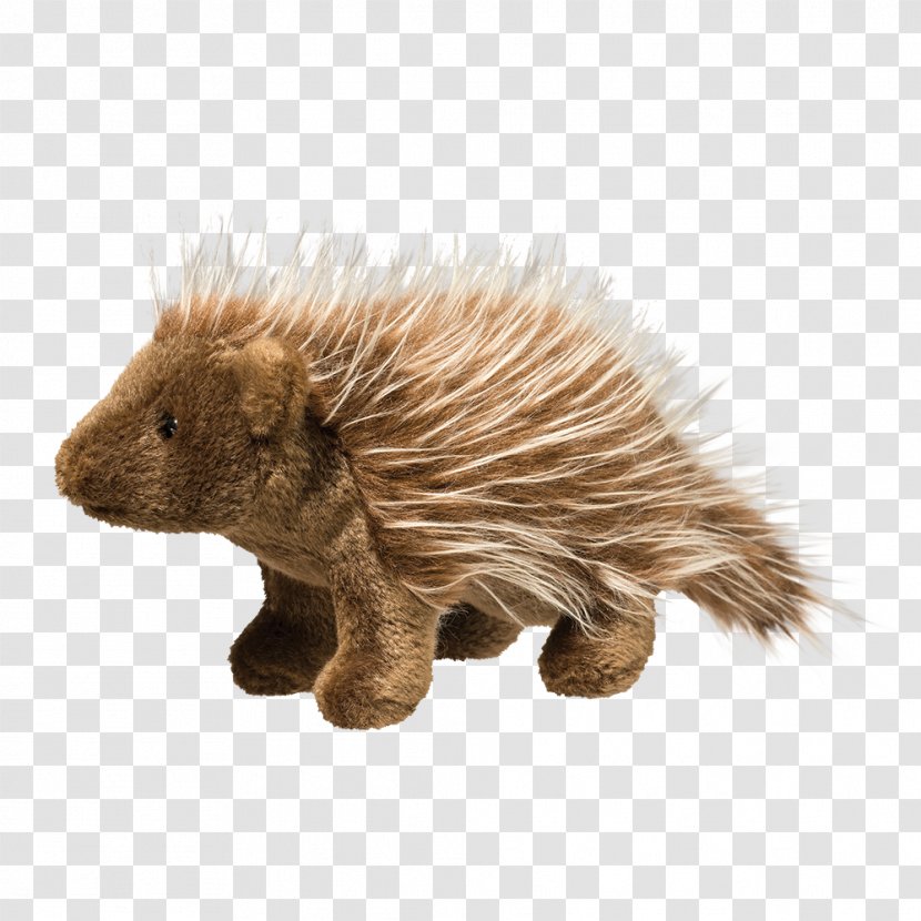 Porcupine Hedgehog Beaver Echidna Fur - Organism Transparent PNG