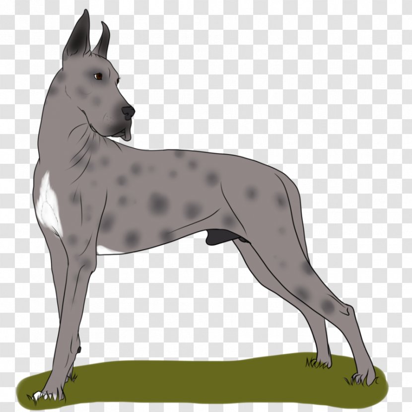 Great Dane Dog Breed Non-sporting Group - Silhouette Transparent PNG