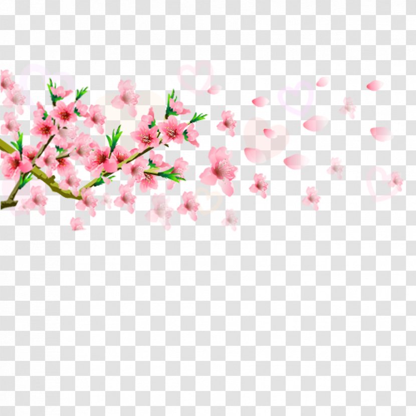 Blossom Flower - Peach - Element Transparent PNG