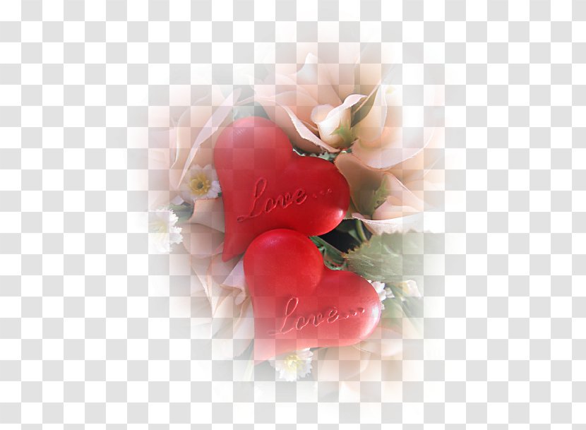 Love Romance Husband Boyfriend Valentine's Day - Good - Susan Transparent PNG
