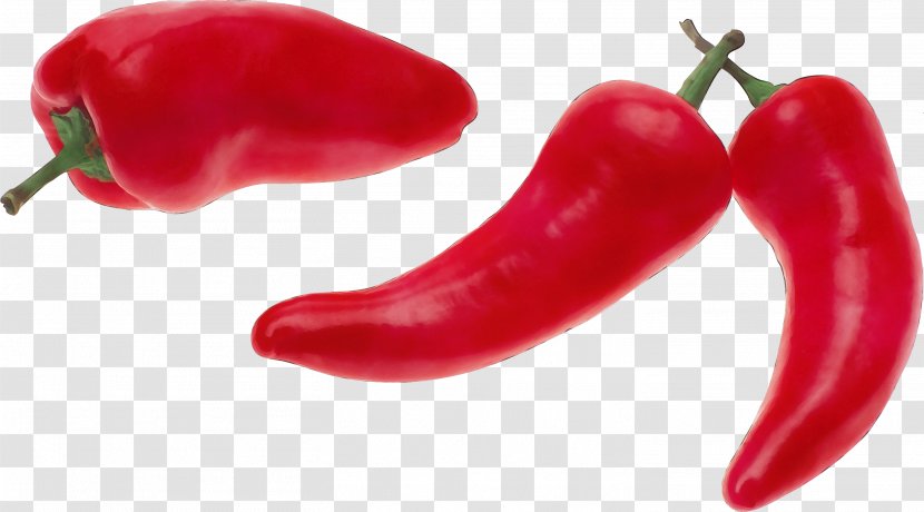 Tabasco Pepper Serrano Malagueta Chili Bell Peppers And - Red Birds Eye Transparent PNG