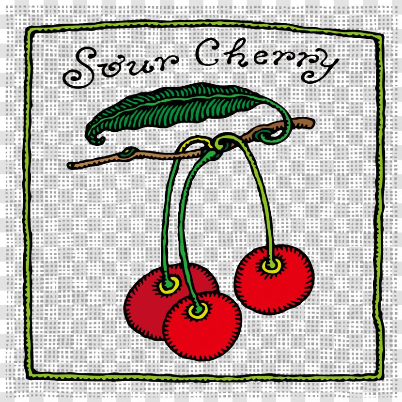 Sour Cherry Drawing Fruit - Vector Hand-painted Transparent PNG
