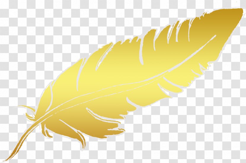 Feather Invertebrate Font - Quill Transparent PNG