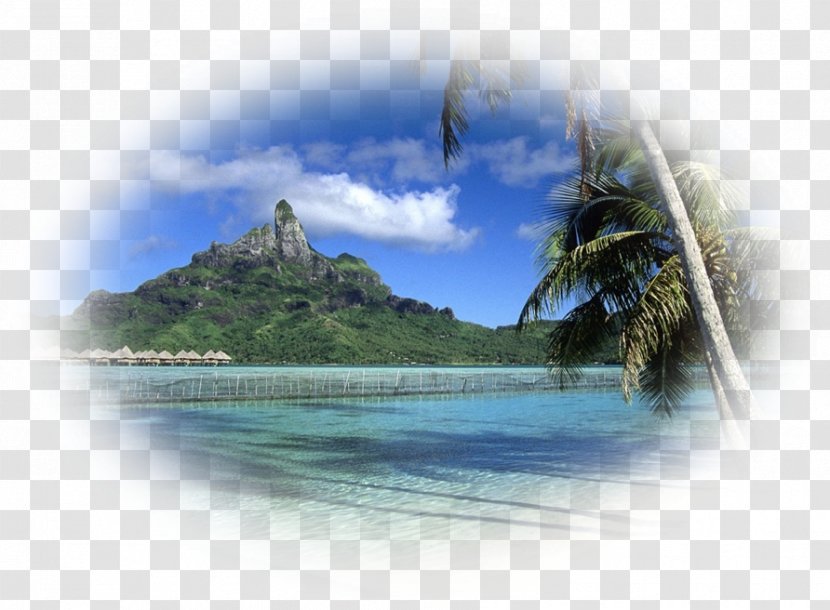 Desktop Wallpaper Summer Screensaver Mobile Phones - Islet - Paysage Transparent PNG