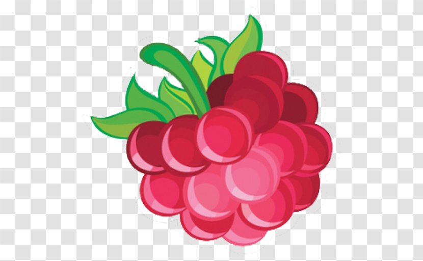 Raspberry Fruity Popper Blobby Volleyball - Rubus Leucodermis Transparent PNG