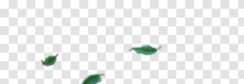 Leaf Desktop Wallpaper Water Close-up Font - Computer Transparent PNG