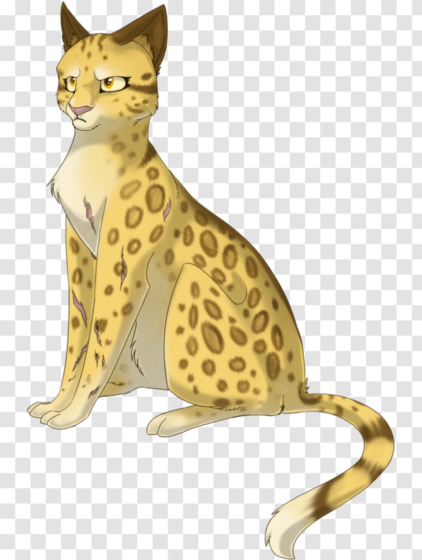 Cat Warriors Leopardstar Mistystar Tigerstar - Whiskers - Warrior Transparent PNG