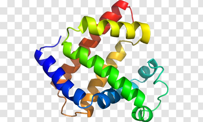 Relative Dating Absolute Stratigraphy Chronological - Organism - Matchmaking Transparent PNG