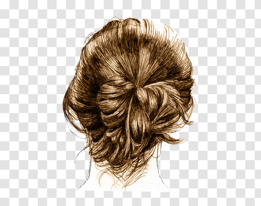 Drawing Bun Hair Ballet Dancer Sketch - Forehead Transparent PNG