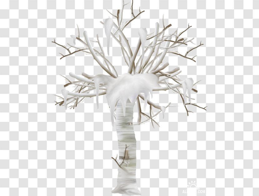 Black And White Twig Scrubs Tree - Flowerpot - Flower Transparent PNG