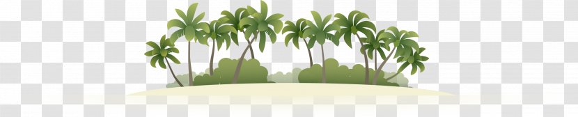 Coconut Euclidean Vector Drawing - Creative Island Transparent PNG