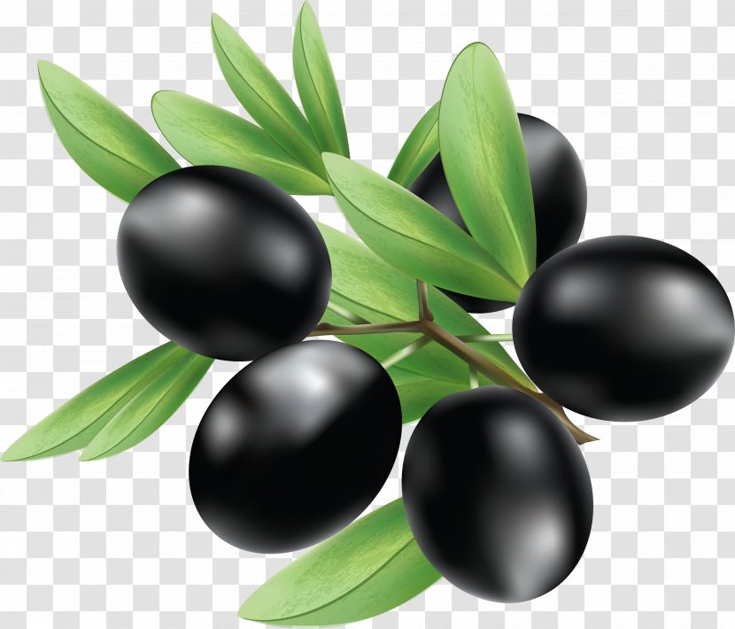 Olive Illustration - Stock Photography - Black Olives Transparent PNG