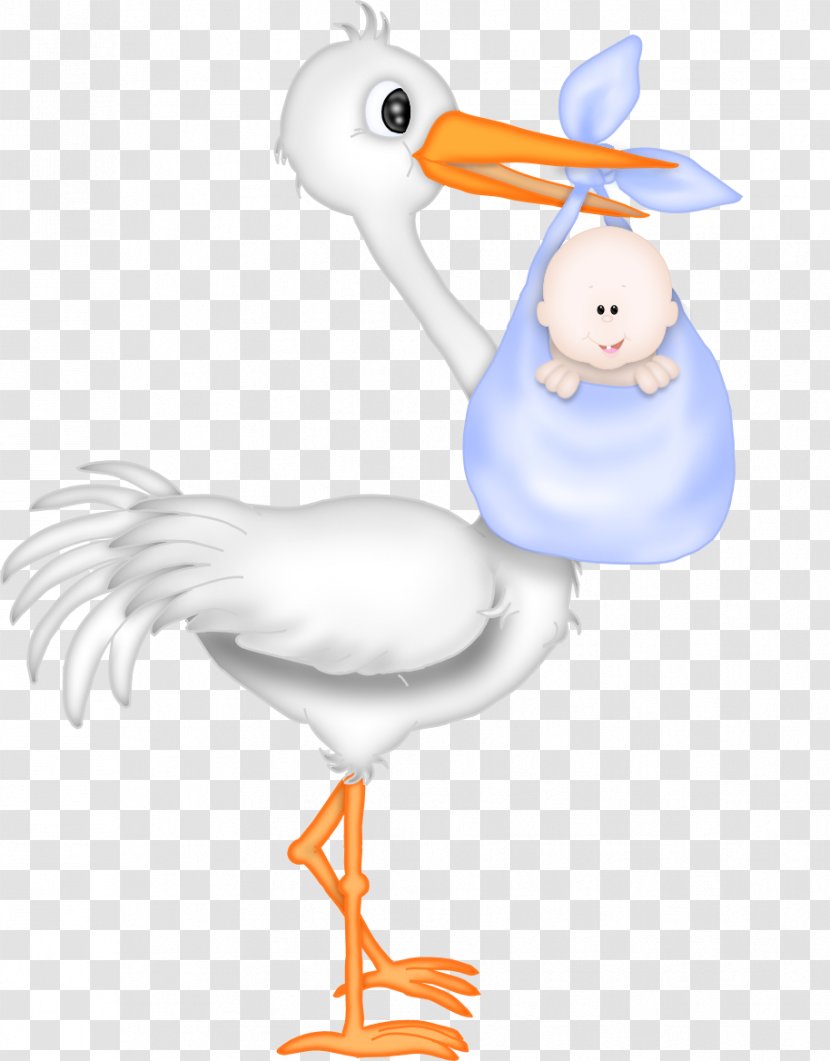 Wedding Invitation Baby Shower Stork Infant - Seabird - Use These Vector Clipart Transparent PNG