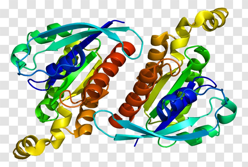 Rho Family Of GTPases G Protein Guanine Nucleotide Exchange Factor - Frame Transparent PNG