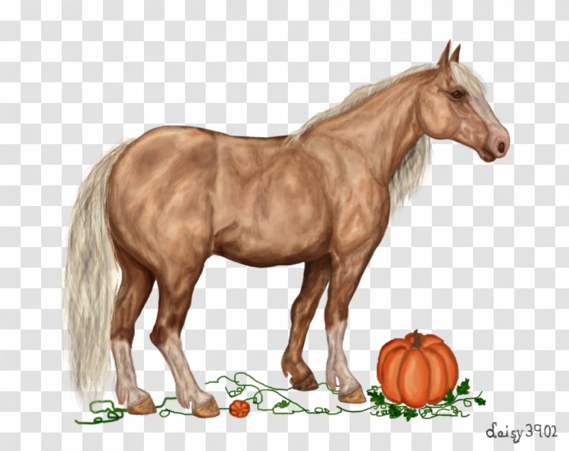 Mustang Pony Stallion Foal Mare - Cartoon Transparent PNG