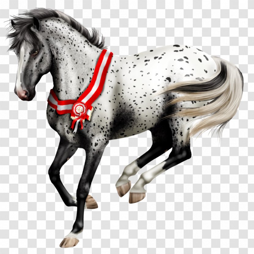Stallion Knabstrupper Pony Colt Drawing - Painting - The Horse Exempts Transparent PNG
