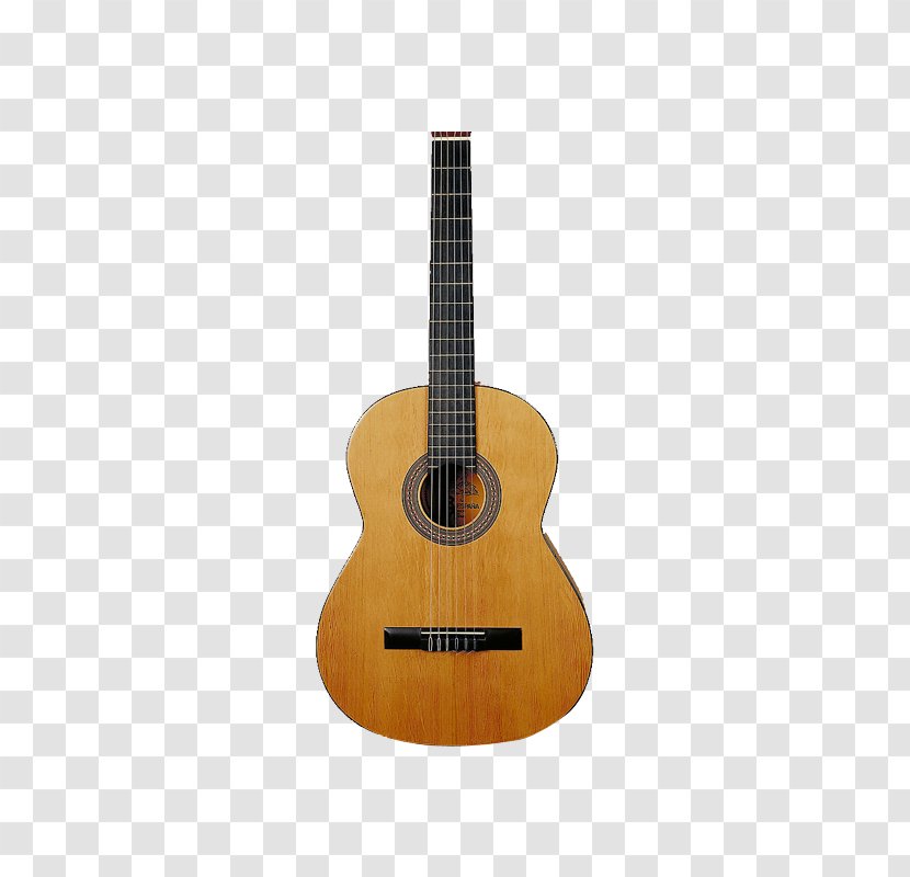 Acoustic Guitar Musical Instrument Classical Pontofrio - Flower Transparent PNG