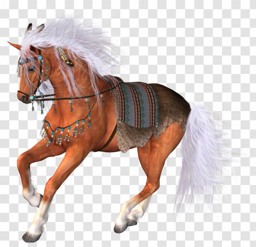 Horse PhotoScape Clip Art - Animal Transparent PNG