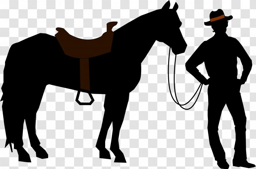 American Quarter Horse Arabian Criollo Howrse Riding - Halter - Cowboy Transparent PNG