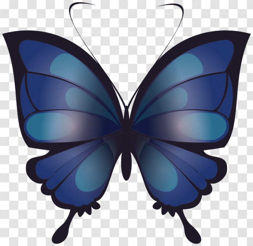 Butterfly Drawing Clip Art - Invertebrate Transparent PNG
