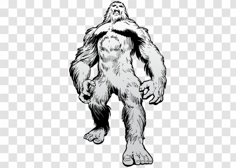 Gorilla Cat Human Dog /m/02csf - Pet - Free Transparent PNG