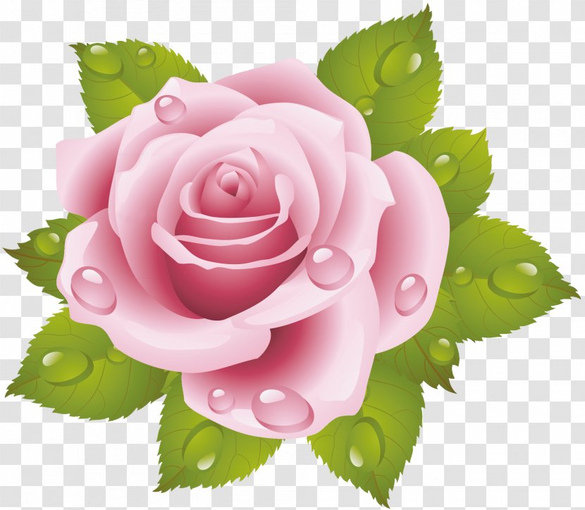 Rose Cross-stitch Pink Floral Design Flower Transparent PNG