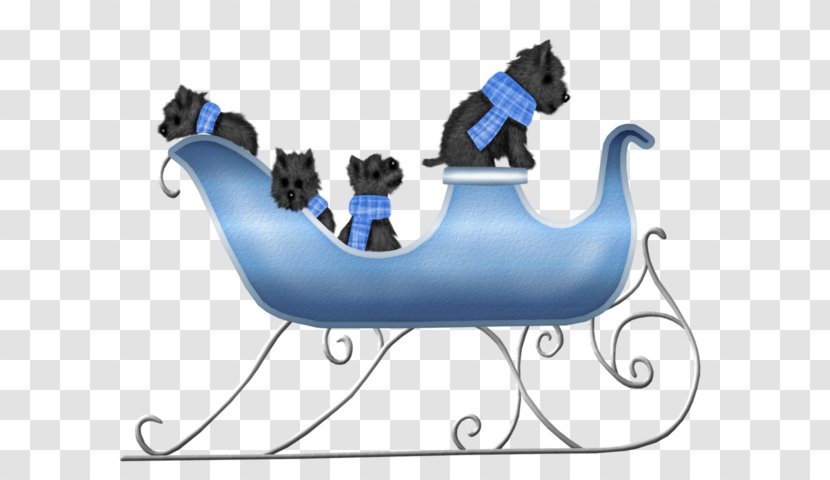 Sled Dog Puppy Blue - Pet Transparent PNG