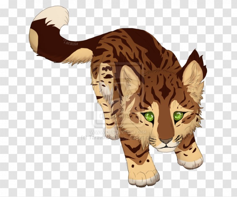 Tiger Big Cat Cougar Wildcat - Peregrine Falcon Transparent PNG