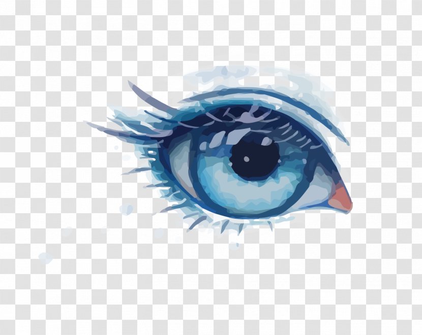 Eye Euclidean Vector - Cartoon - Blue Eyes Transparent PNG