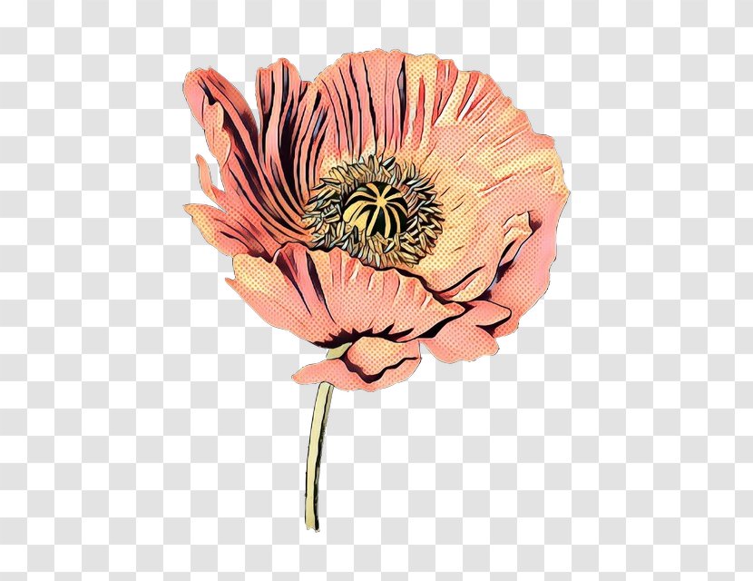 Pink Flower Cartoon - Singing - Coquelicot Poppy Family Transparent PNG