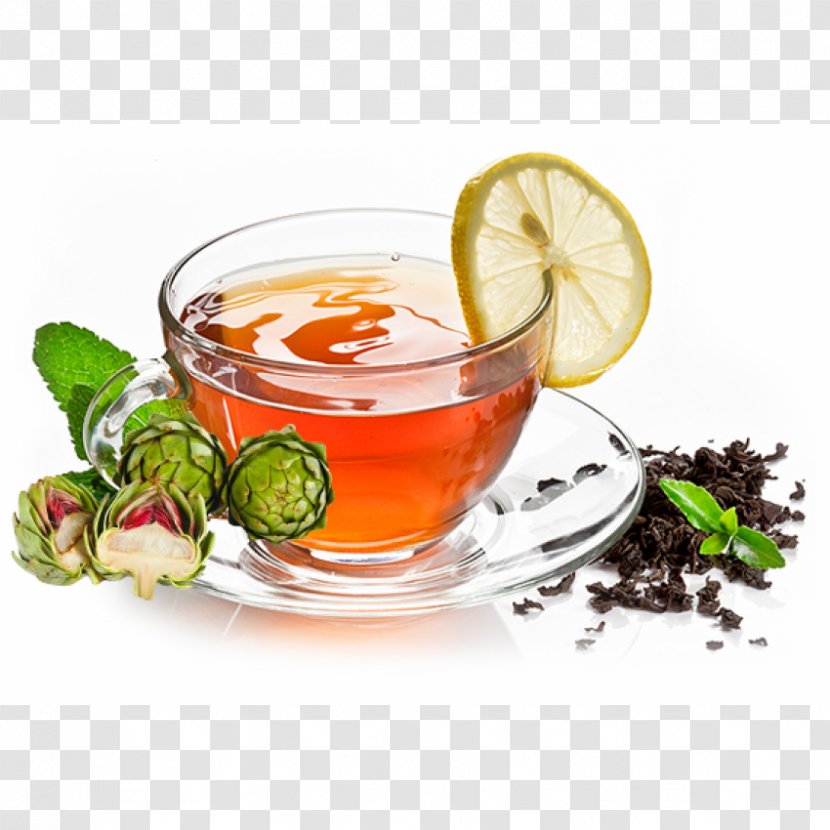 Da Lat Flowering Tea Artichoke Green - Health Transparent PNG