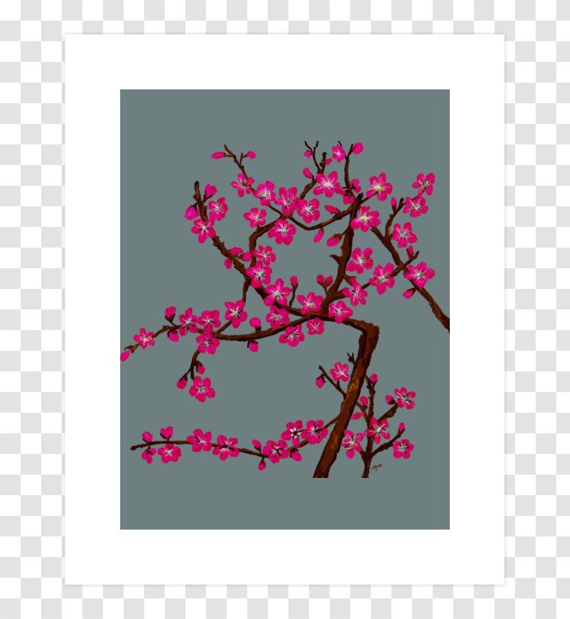 Cherry Blossom Graphic Design Flower Illustration Floral Transparent PNG