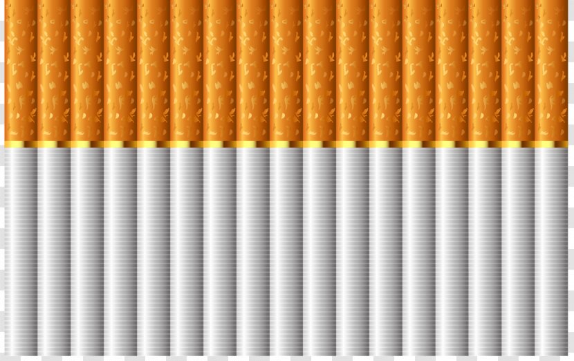 Cigarette Filter Stock Photography Shutterstock - Tree - Vector Realistic Cigarettes Transparent PNG