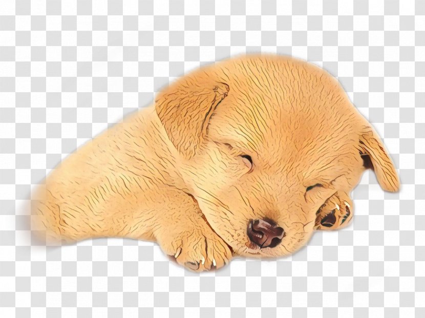 Golden Retriever Background - Puppy Love - Fawn Sporting Group Transparent PNG