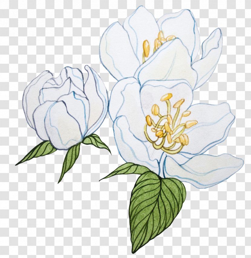 Cut Flowers Tulip Plant Stem Floral Design - Blue Watercolor Flower Transparent PNG