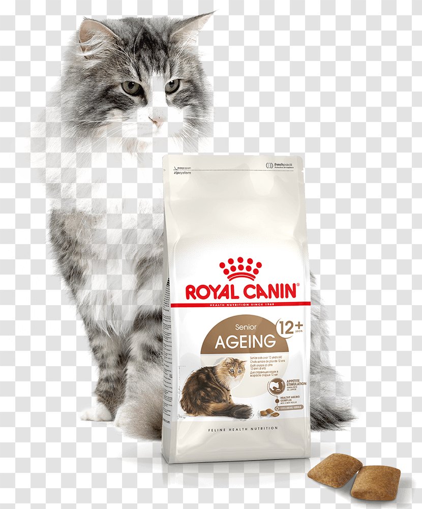 Cat Food Norwegian Forest Persian British Shorthair Maine Coon - Baner Transparent PNG