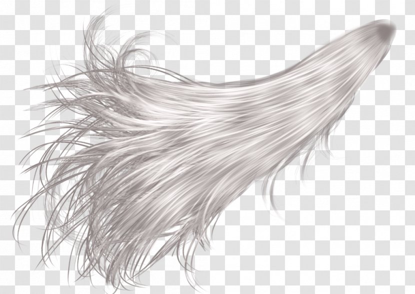 Hair Coloring Wig Transparent PNG