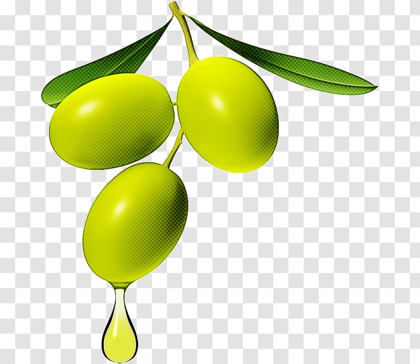 Olive Yellow Fruit Plant Leaf - Tree Transparent PNG
