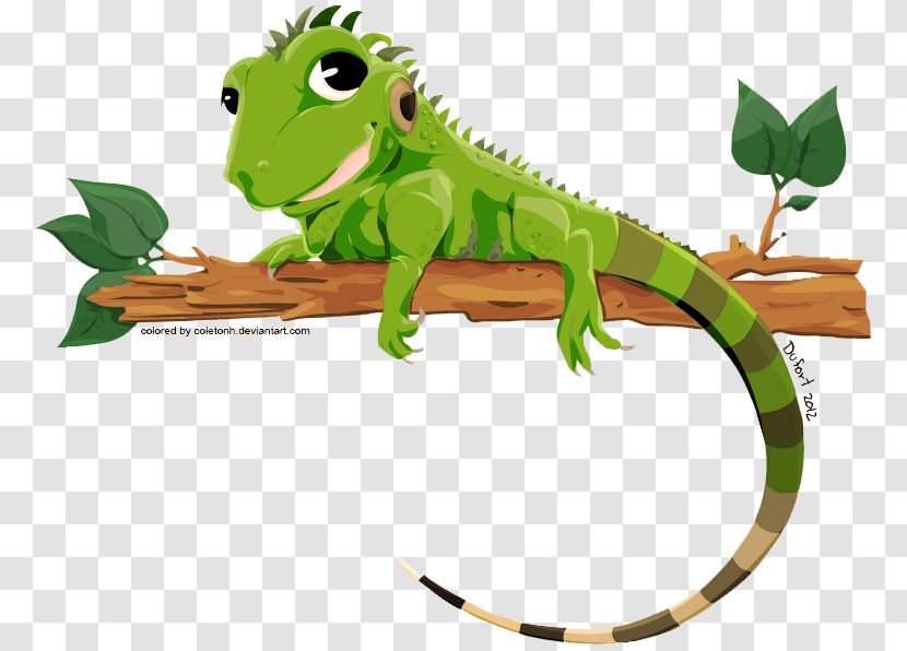 Lizard Green Iguana - Transparent Image Transparent PNG