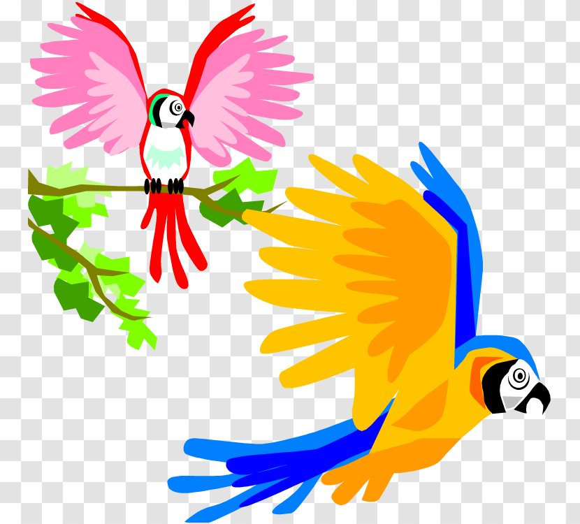 Parrot Bird Flight Macaw Clip Art - Fictional Character - Cartoon Pictures Of Parrots Transparent PNG