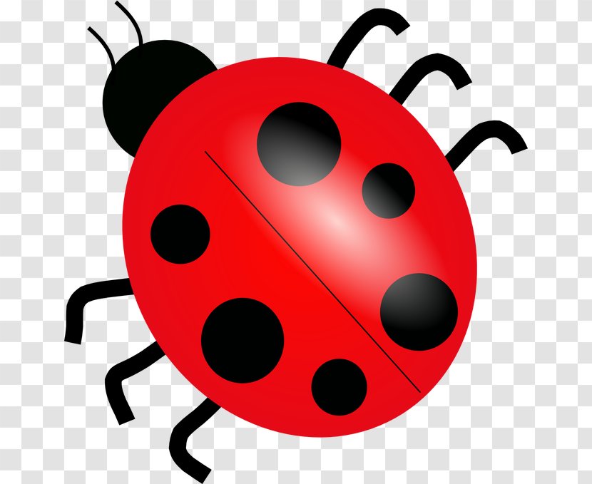 Ladybird Clip Art - Ladybug Transparent PNG