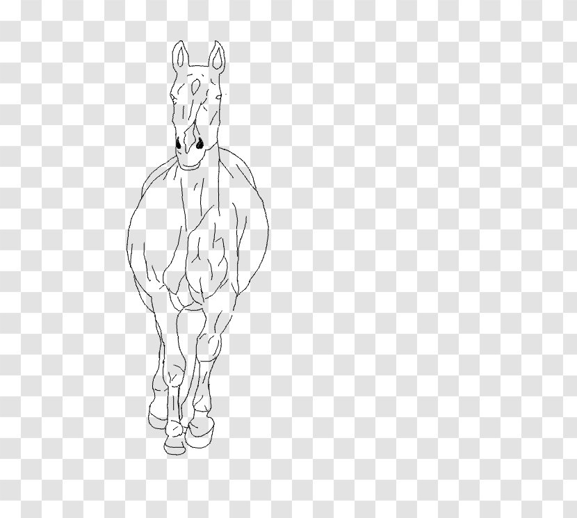 Horse Whiskers Drawing Sketch - Flower Transparent PNG