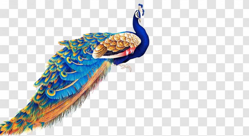 Peafowl Clip Art - World Wide Web - Peacock Transparent PNG