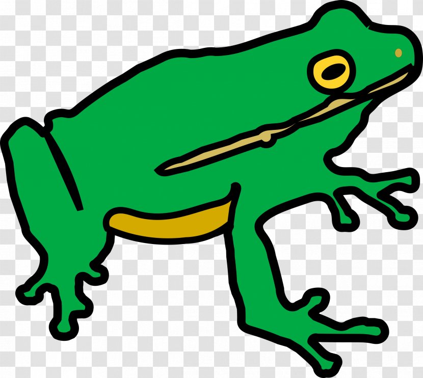 Frog Toad Lithobates Clamitans Public Domain Clip Art - Green Transparent PNG