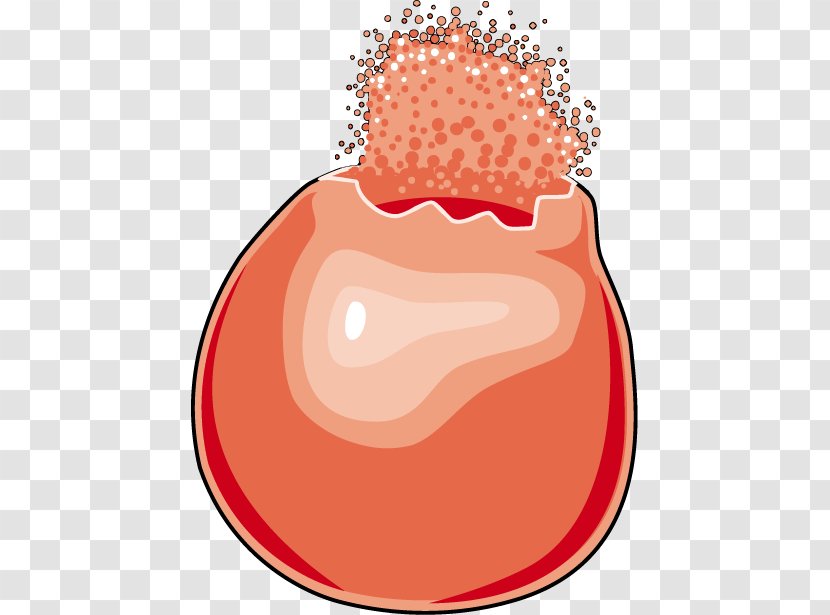 Red Blood Cell Lysis - Tree Transparent PNG