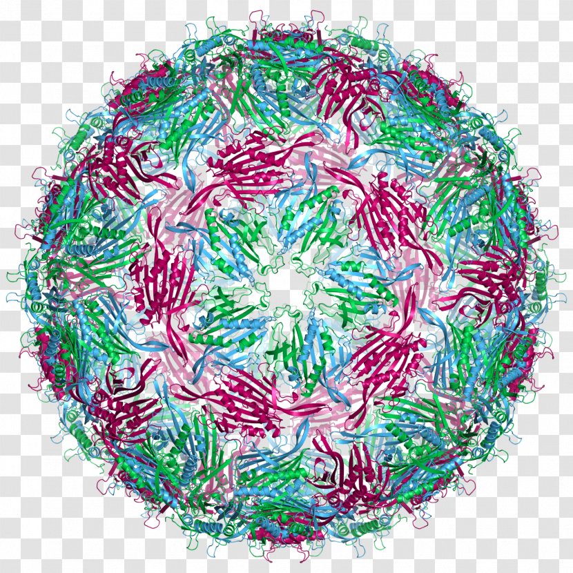 Capsid Bacteriophage MS2 RNA Virus - Nucleic Acid Transparent PNG
