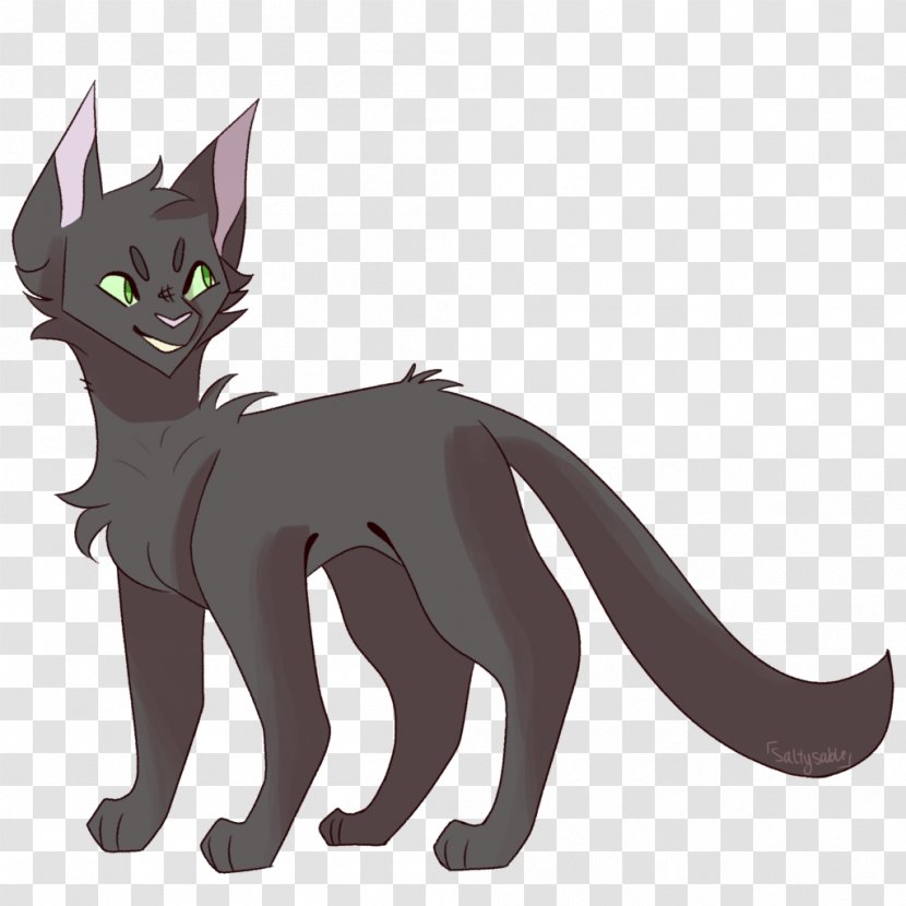 Kitten Whiskers Domestic Short-haired Cat Black - Like Mammal Transparent PNG