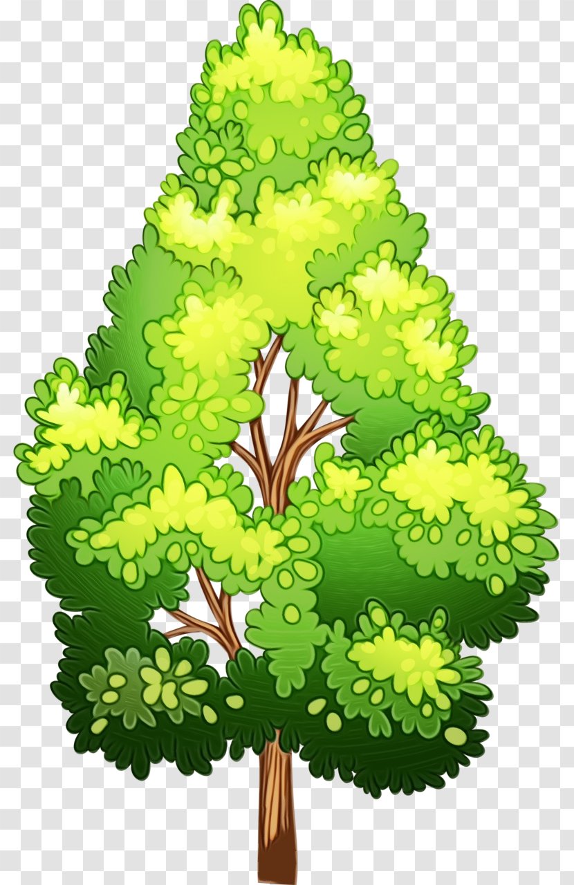 Leaf - Paint - Evergreen Pine Transparent PNG